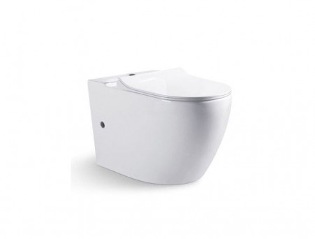 Унитаз-Компакт «Bravat» Gina 36,5x68,5 Безободковый с Крышкой-Сиденьем Микролифт (263396+263397)