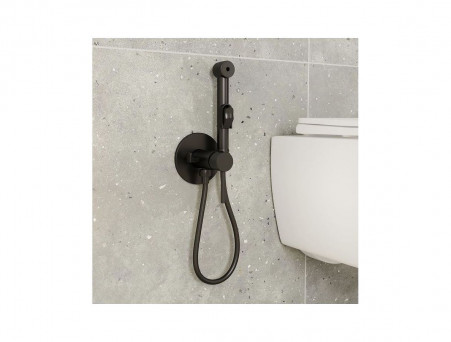 Смеситель Скрытого Монтажа с Гигиеническим Душем «Iddis» Axes, Стиль: Модерн (003BLR0i08)