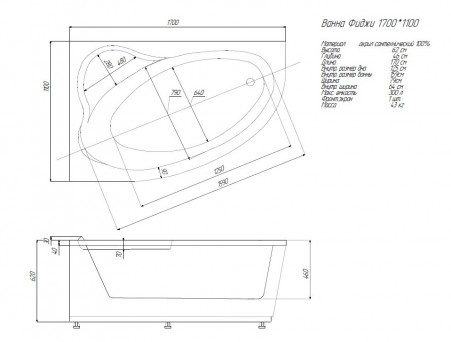 Акриловая Ванна «Aquatek» Фиджи, Асимметричная, 170x110 (FID170-0000001)