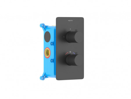 Смеситель для Ванны «Aquatek» Термостатический, Европа, Черный Матовый, Встраиваемый (AQ1392MB)