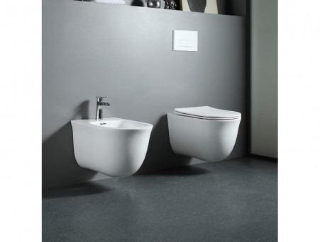 Биде Подвесное «Aquatek» Классик, Белый, 525x365x340 (AQ1160-00)