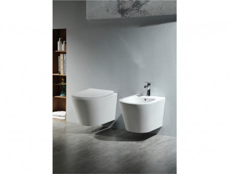 Биде Подвесное «Aquatek» Вега, Белый, 530x360x330 (AQ1057-00)