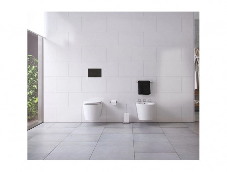 Панель Смыва «Oli» Globe, Механическая, Чёрная (152952)