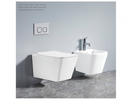 Подвесной Унитаз «Azario» Boca, Безободковый, Микролифт, 520x360x370 (AZ-2002)