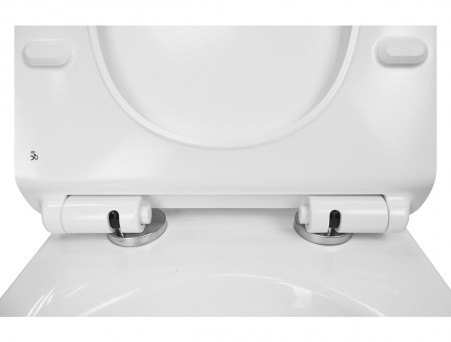 Подвесной Унитаз «Azario» Felice, Безободковый, Микролифт, 490x360x360 (AZ-0051)