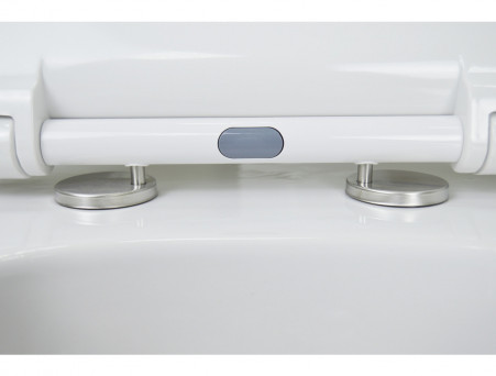 Подвесной Унитаз «Azario» Ferio, Безободковый, Микролифт, 545x330x360 (87565)