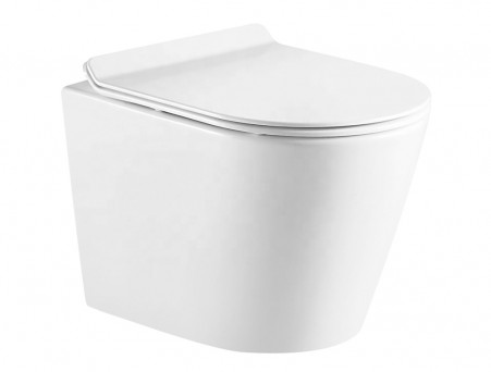 Подвесной Унитаз «Azario» Fonti, Безободковый, Микролифт, 535x310x365 (AZ-402W)