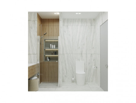 Душевая Дверь в Нишу «Triton» Уно 80x185