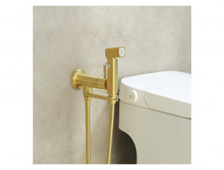 Комплект с Гигиеническим Душем «Aquatek» Ника 4в1, Настенный, Золото Шлифованное (AQ1819BG)