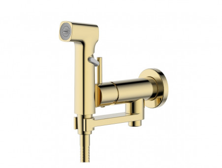 Комплект с Гигиеническим Душем «Aquatek» Ника 4в1, Настенный, Золото Шлифованное (AQ1819BG)