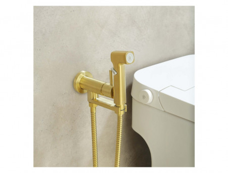 Комплект с Гигиеническим Душем «Aquatek» Ника 4в1, Настенный, Золото Шлифованное (AQ1819BG)
