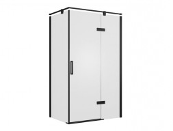 Душевой Уголок «Bravat» Black Line R 120x80x195 (BS120.3113AB)